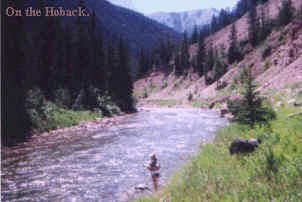 wpe4.jpg (9146 bytes)